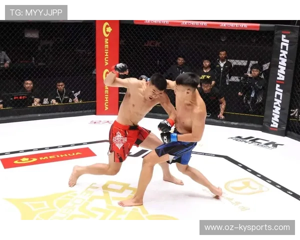 MMA的“地面捶击”：优势位置的终结方式